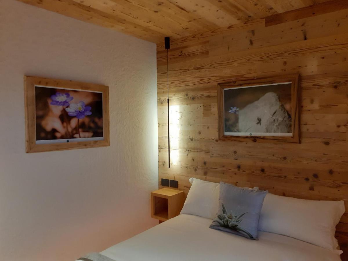 B&B Il Bucaneve Santo Stefano Di Cadore Exterior photo