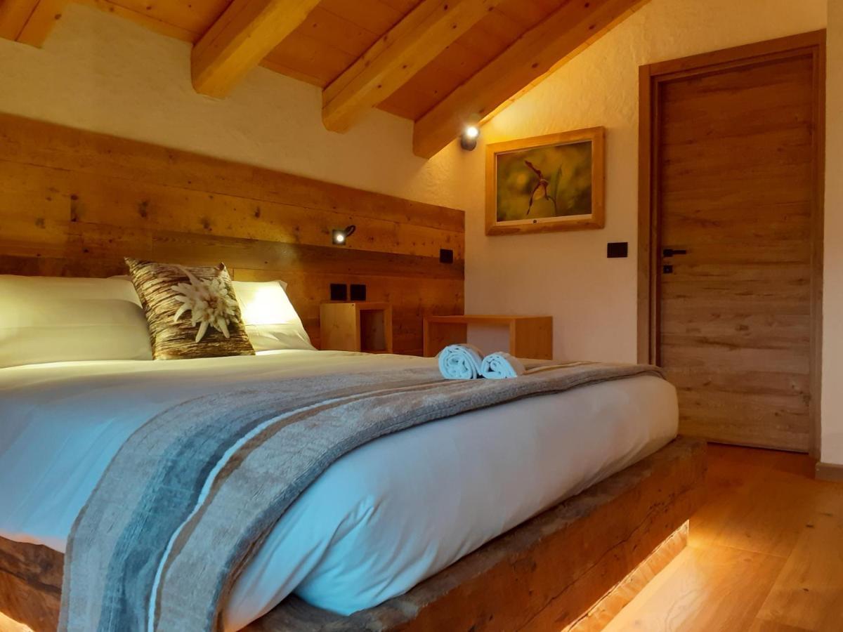 B&B Il Bucaneve Santo Stefano Di Cadore Exterior photo