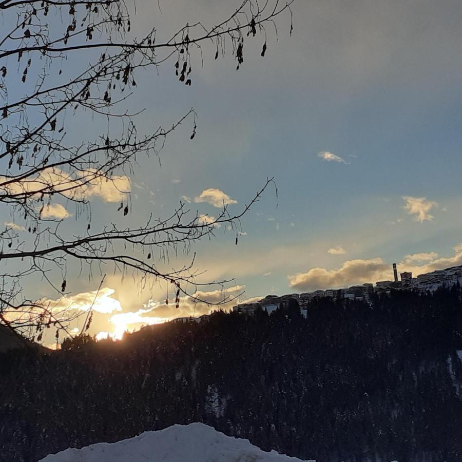 B&B Il Bucaneve Santo Stefano Di Cadore Exterior photo